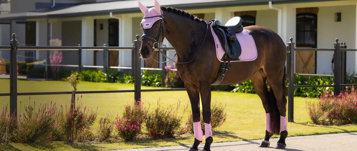 Expert Gear for Every Ride