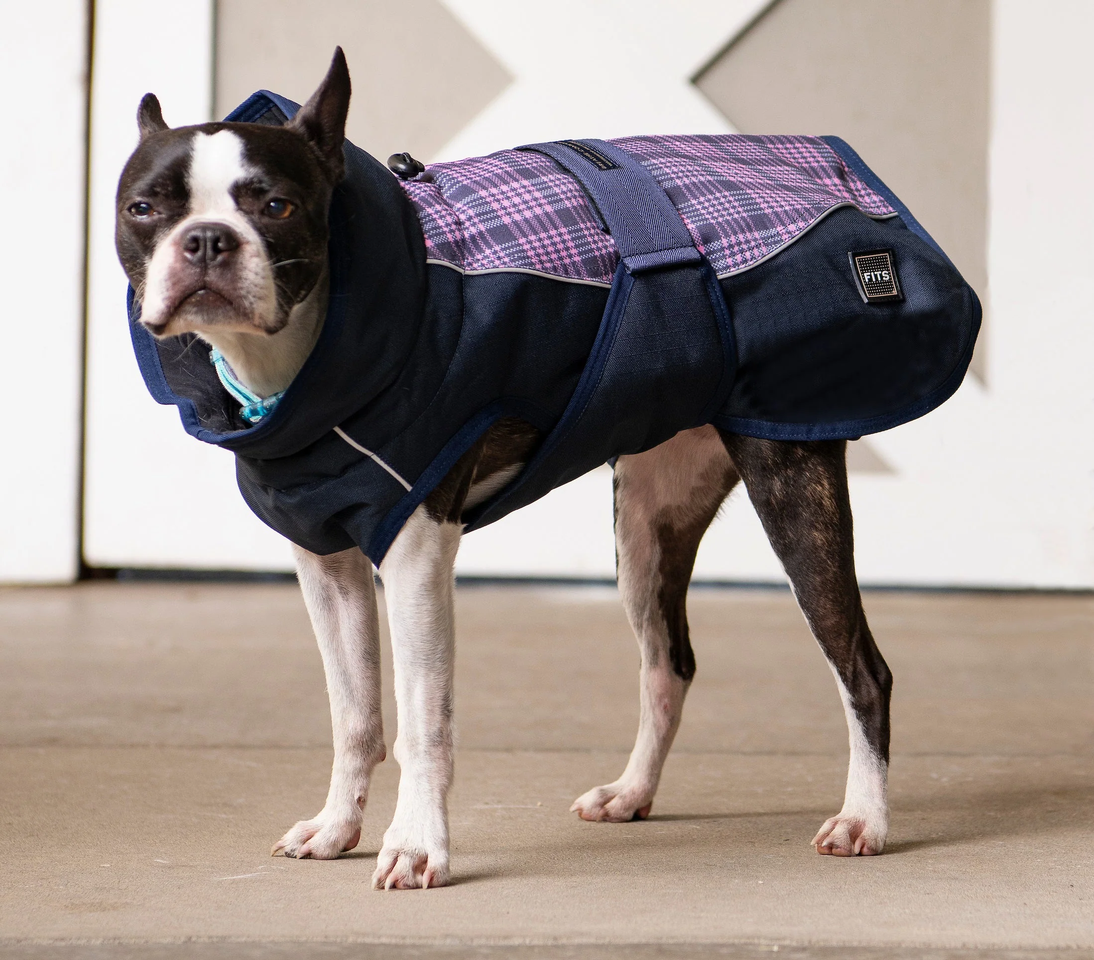 FITS All Weather Dog Coat - Image 3