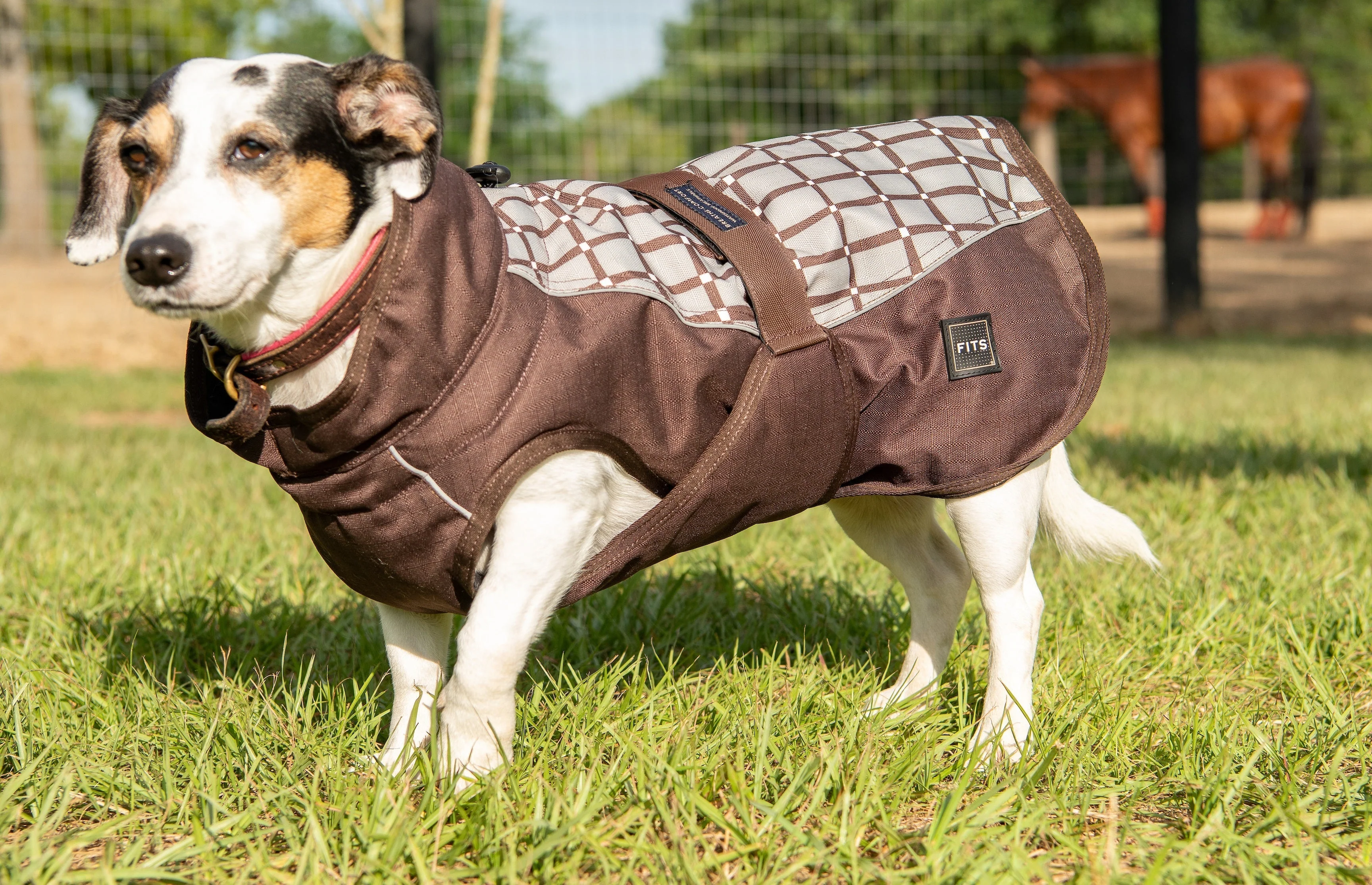 FITS All Weather Dog Coat - Image 5