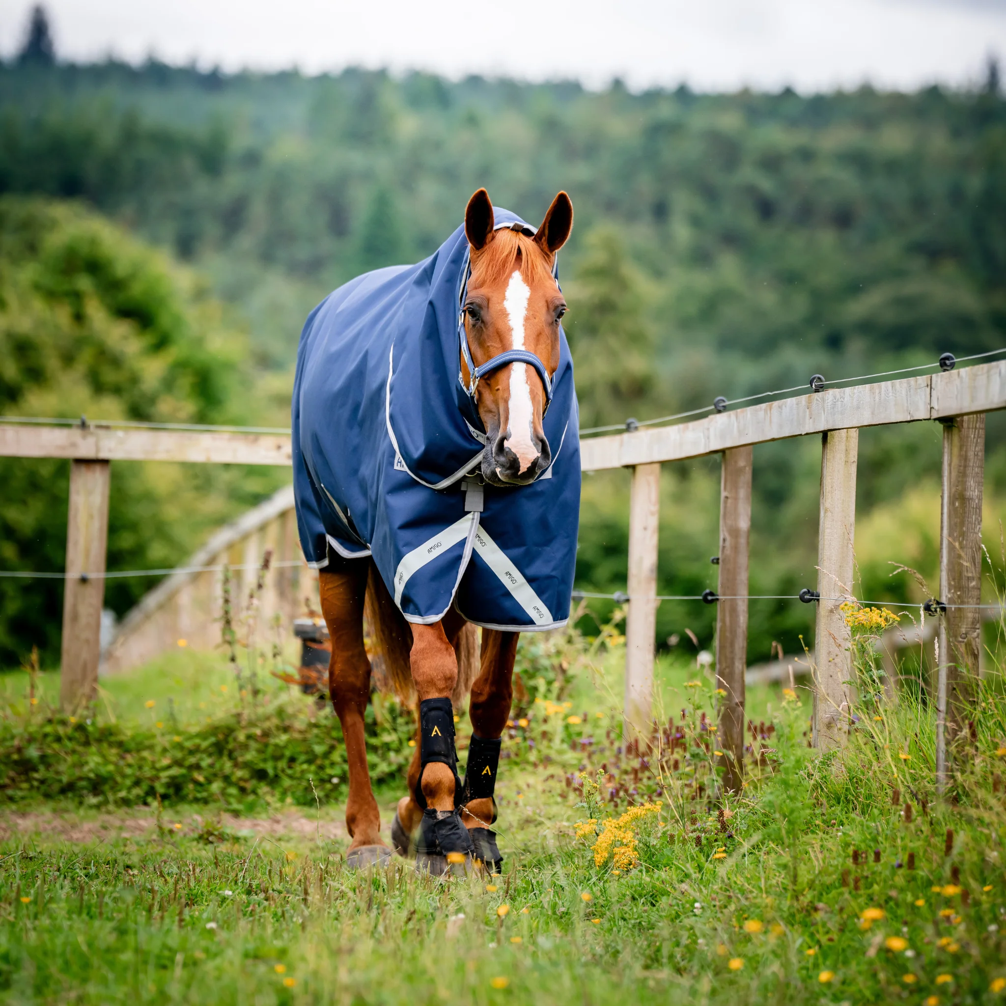 Amigo Bravo 12 Plus Turnout (100g Light) - Image 4