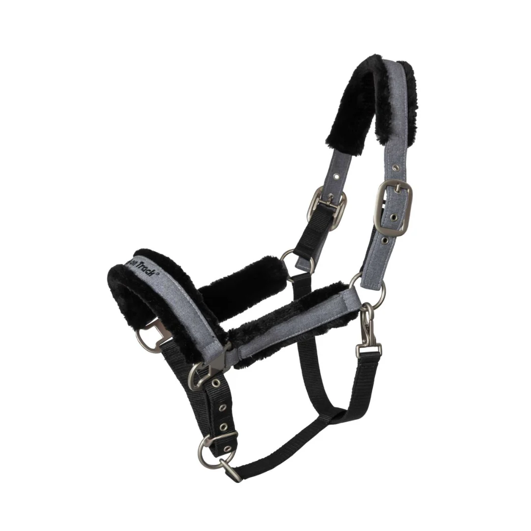 Back on Track Haze Collection Halter - Image 5