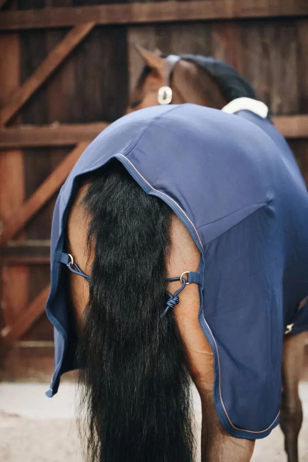 Kentucky Horsewear Cooler Fleece Rug - Image 5