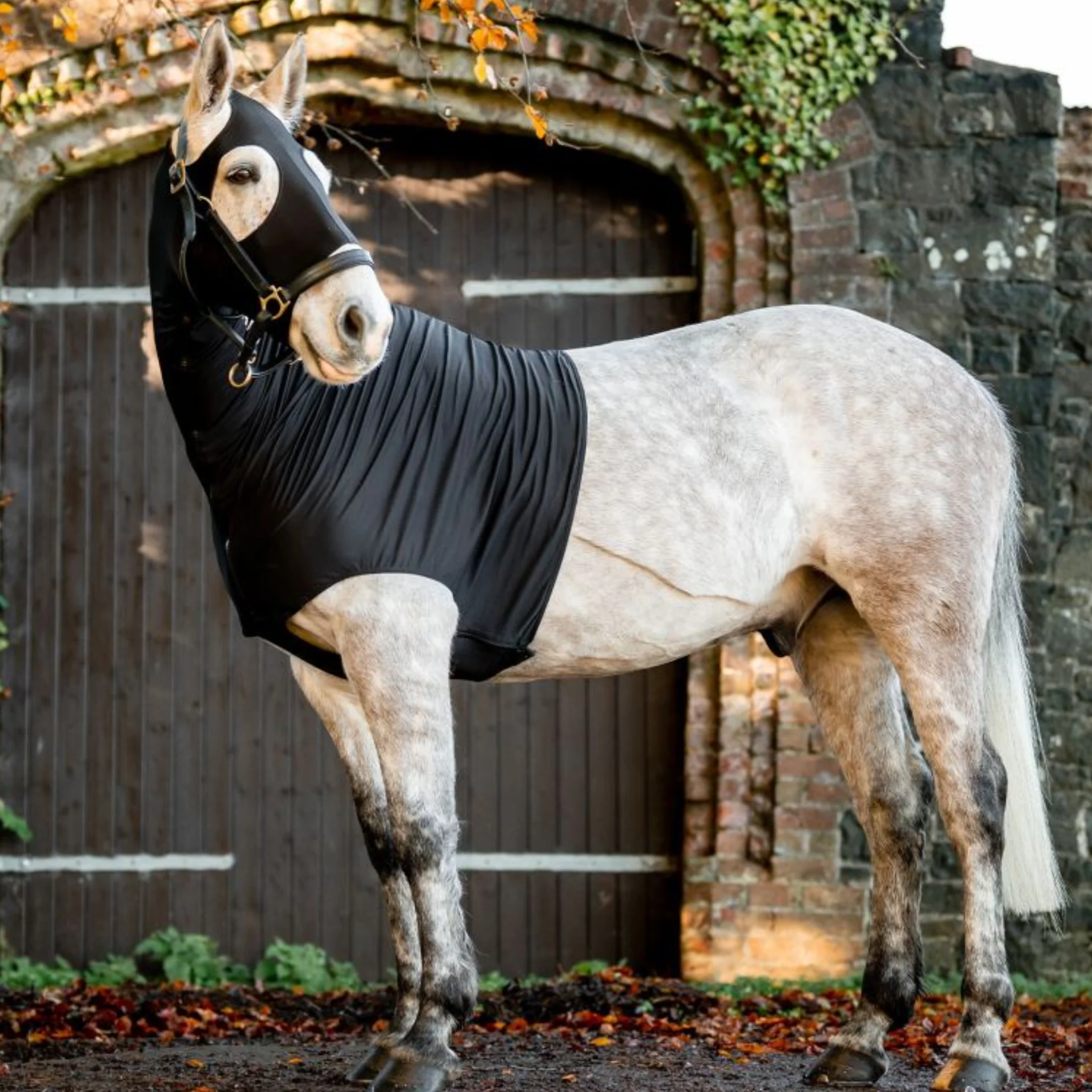 Rambo Slinky Hood - Image 3